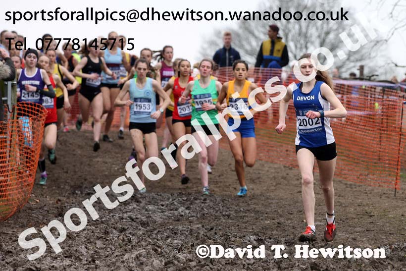 Womens under-17s Inter Counties Cross Country, Prestwold Hall, Loughborough. Photo: David T. Hewitson/Sports for All Pics
